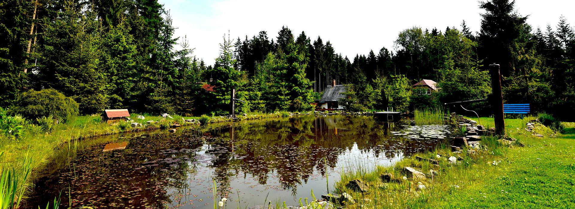 Feriendorf Vogtland - Urlaub direkt im Wald